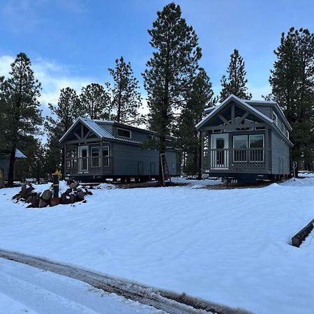 Cozy Cabin With Mountain View 6A 威廉斯 外观 照片
