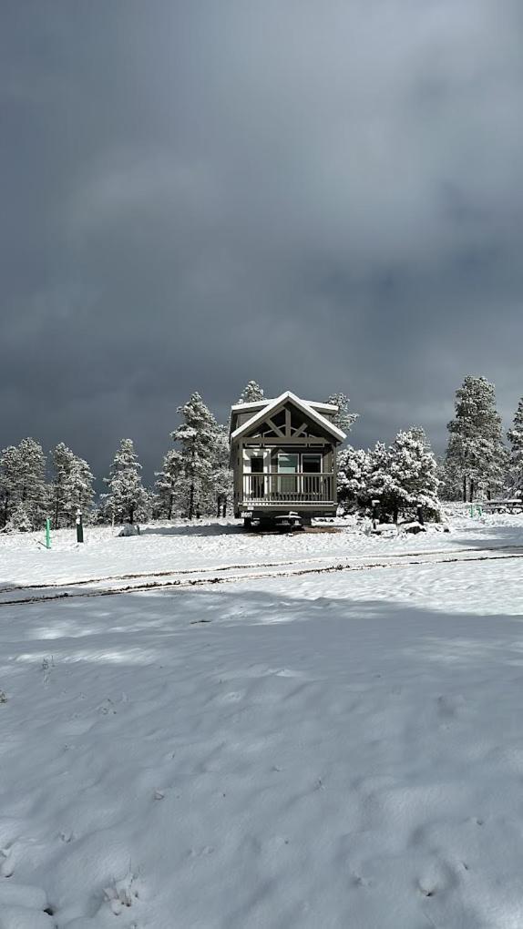Cozy Cabin With Mountain View 6A 威廉斯 外观 照片